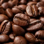 INSONNIA Gattopardo To.Da 1 kg kavna zrna – 100% robusta extra strong